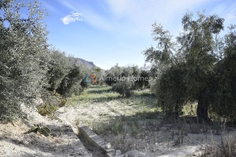 Landejendom i Velez-Blanco, Almeria, Velez-Blanco - € 115.000 | Ref: AH-14484 - foto 12