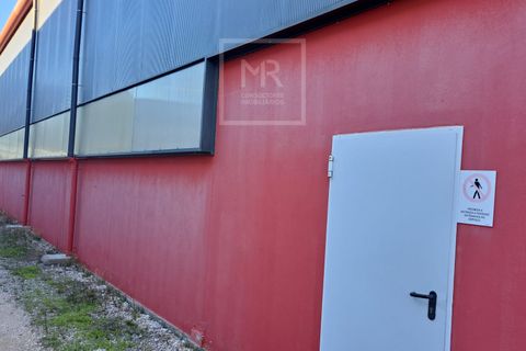 Erhvervsejendom i Anadia, Aveiro, Anadia - € 470.000 | Ref: 87/2025 RV - foto 7