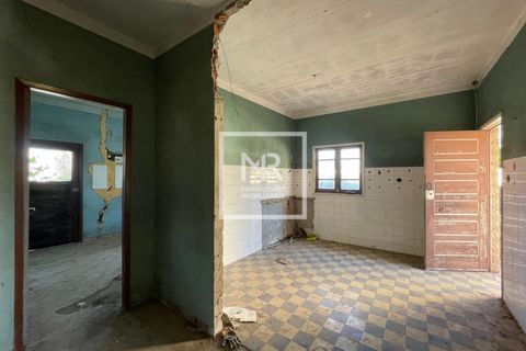 Villa a Anadia, Aveiro, Anadia - € 119.000 | Ref: 118/2025 LI - foto 3