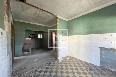 Villa a Anadia, Aveiro, Anadia - € 119.000 | Ref: 118/2025 LI - foto 5
