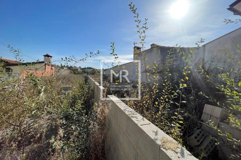 Villa a Anadia, Aveiro, Anadia - € 119.000 | Ref: 118/2025 LI - foto 10