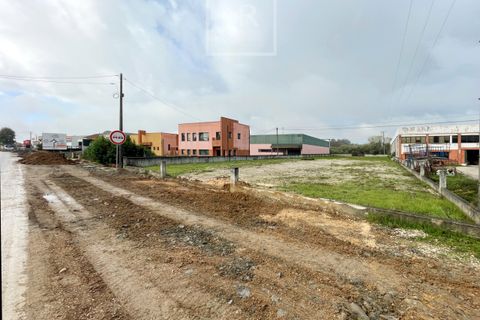 Helårsgrund i Anadia, Aveiro, Anadia - € 155.000 | Ref: 106/2024 ES - foto 2