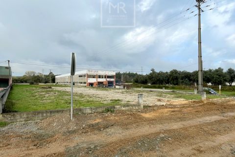 Helårsgrund i Anadia, Aveiro, Anadia - € 155.000 | Ref: 106/2024 ES - foto 3