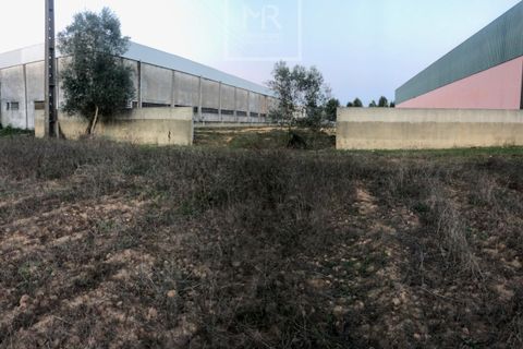 Helårsgrund i Anadia, Aveiro, Anadia - € 155.000 | Ref: 106/2024 ES - foto 4