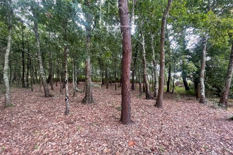 Helårsgrund i Anadia, Aveiro, Anadia - € 22.000 | Ref: 85/2025 LI - foto 1