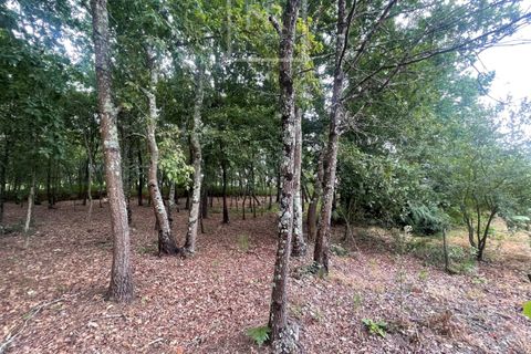 Helårsgrund i Anadia, Aveiro, Anadia - € 22.000 | Ref: 85/2025 LI - foto 5