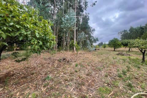 Helårsgrund i Anadia, Aveiro, Anadia - € 22.000 | Ref: 85/2025 LI - foto 6