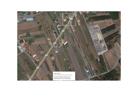Terra a Vagos, Aveiro, Vagos - € 72.500 | Ref: 41/2025 PS - foto 4