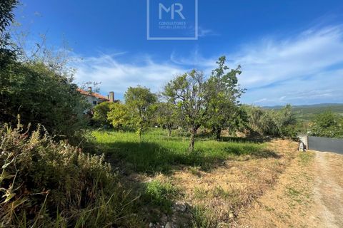 Helårsgrund i Anadia, Aveiro, Anadia - € 29.500 | Ref: Ref:67/2025 LI - foto 2