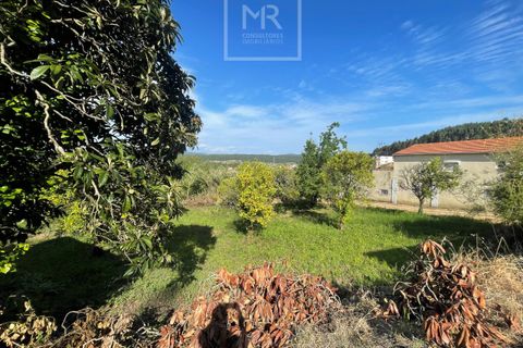 Helårsgrund i Anadia, Aveiro, Anadia - € 29.500 | Ref: Ref:67/2025 LI - foto 3