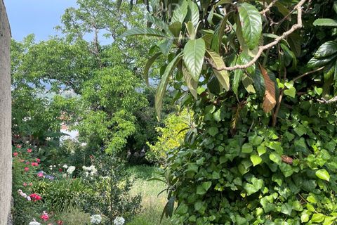 Helårsgrund i Anadia, Aveiro, Anadia - € 29.500 | Ref: Ref:67/2025 LI - foto 4