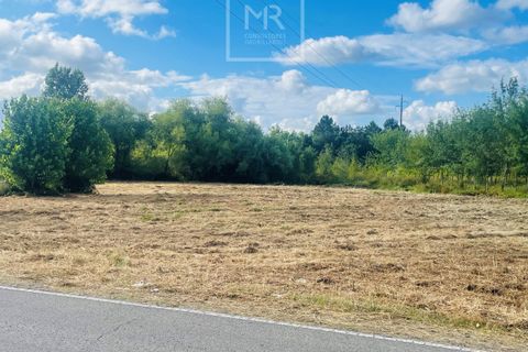 Helårsgrund i Anadia, Aveiro, Anadia - € 38.500 | Ref: 64/2024 LI - foto 1