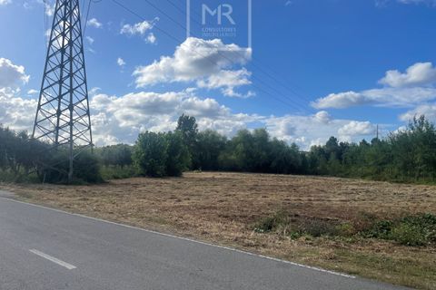 Helårsgrund i Anadia, Aveiro, Anadia - € 38.500 | Ref: 64/2024 LI - foto 4