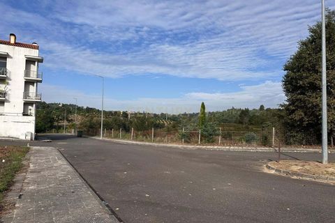 Tomt i Santa Comba Dao, Viseu, Santa Comba Dao - € 58 000 | Ref: C0234-02814 - foto 6