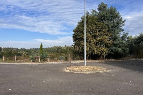Tomt i Santa Comba Dao, Viseu, Santa Comba Dao - € 58 000 | Ref: C0234-02814 - foto 7