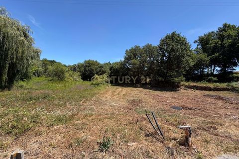 Tomt i Santa Comba Dao, Viseu, Santa Comba Dao - € 58 000 | Ref: C0234-02814 - foto 4