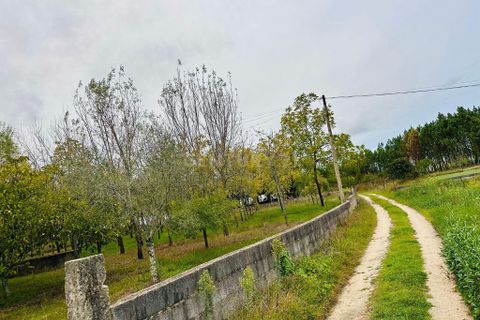 Helårsgrund i Anadia, Aveiro, Anadia - € 25.000 | Ref: C0234-02816 - foto 2