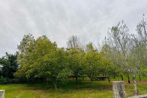 Helårsgrund i Anadia, Aveiro, Anadia - € 25.000 | Ref: C0234-02816 - foto 3