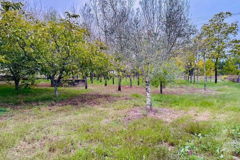 Helårsgrund i Anadia, Aveiro, Anadia - € 25.000 | Ref: C0234-02816 - foto 4