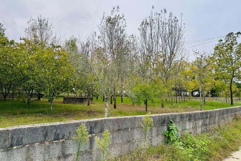 Helårsgrund i Anadia, Aveiro, Anadia - € 25.000 | Ref: C0234-02816 - foto 5