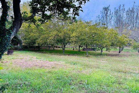 Helårsgrund i Anadia, Aveiro, Anadia - € 25.000 | Ref: C0234-02816 - foto 6