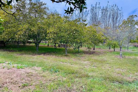 Helårsgrund i Anadia, Aveiro, Anadia - € 25.000 | Ref: C0234-02816 - foto 8