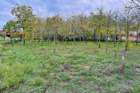 Helårsgrund i Anadia, Aveiro, Anadia - € 25.000 | Ref: C0234-02816 - foto 9