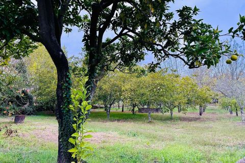 Helårsgrund i Anadia, Aveiro, Anadia - € 25.000 | Ref: C0234-02816 - foto 11