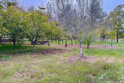 Helårsgrund i Anadia, Aveiro, Anadia - € 25.000 | Ref: C0234-02816 - foto 13