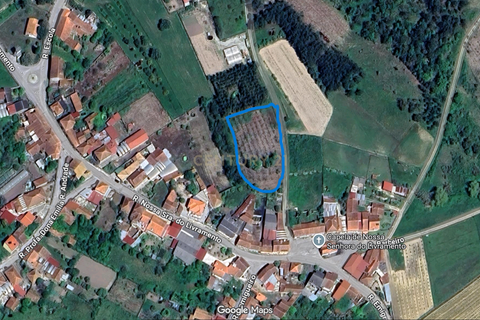 Helårsgrund i Anadia, Aveiro, Anadia - € 25.000 | Ref: C0234-02816 - foto 1