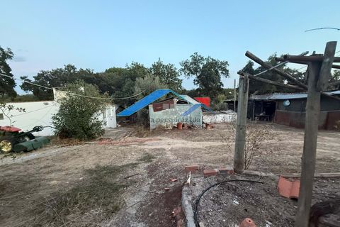 Byhus i Coruche, Santarem, Coruche - € 60.000 | Ref: 1158Varejola/Couço - foto 7