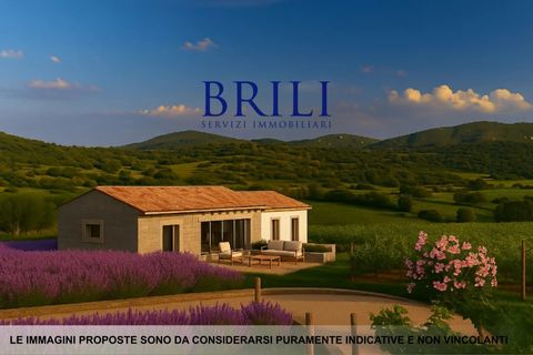 Tomt i Luogosanto, Sassari, Luogosanto - € 220 000 | Ref: OT-212AT - foto 3
