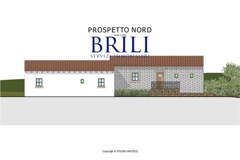 Tomt i Luogosanto, Sassari, Luogosanto - € 220 000 | Ref: OT-212AT - foto 20