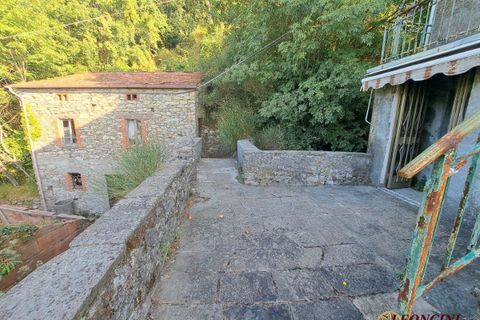 Landejendom i Mulazzo, Massa and Carrara, Mulazzo - € 30.000 | Ref: A326 - foto 16
