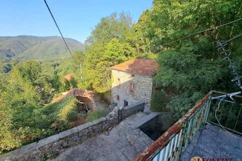 Landejendom i Mulazzo, Massa and Carrara, Mulazzo - € 30.000 | Ref: A326 - foto 20