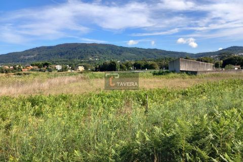 Helårsgrund i Caminha, Viana do Castelo, Caminha - € 115.000 | Ref: 2277 - foto 3