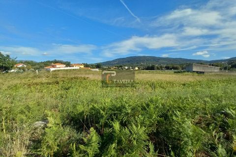 Helårsgrund i Caminha, Viana do Castelo, Caminha - € 115.000 | Ref: 2277 - foto 6