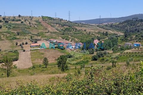Terra a Batalha, Leiria, Batalha - € 95.000 | Ref: ANG1487 - foto 2