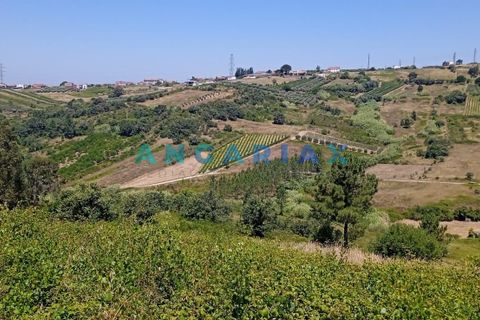 Terra a Batalha, Leiria, Batalha - € 95.000 | Ref: ANG1487 - foto 3