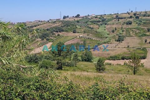 Terra a Batalha, Leiria, Batalha - € 95.000 | Ref: ANG1487 - foto 4