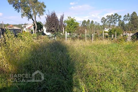 Helårsgrund i Barcelos, Braga, Barcelos - € 165.000 | Ref: 244/25 - foto 3