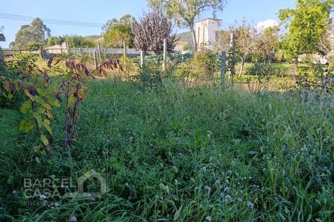 Helårsgrund i Barcelos, Braga, Barcelos - € 165.000 | Ref: 244/25 - foto 5
