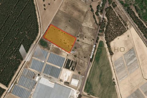 Helårsgrund i Muge, Santarem, Muge - € 160.000 | Ref: TR_85 - foto 1