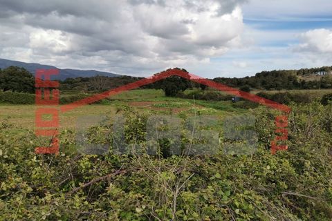 Terra a Vila Flor, Braganca, Vila Flor - € 12.500 | Ref: SÒL_1228 - foto 3