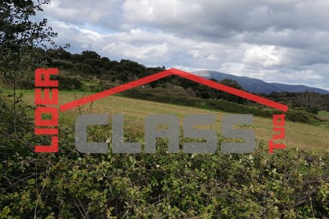 Terra a Vila Flor, Braganca, Vila Flor - € 12.500 | Ref: SÒL_1228 - foto 4