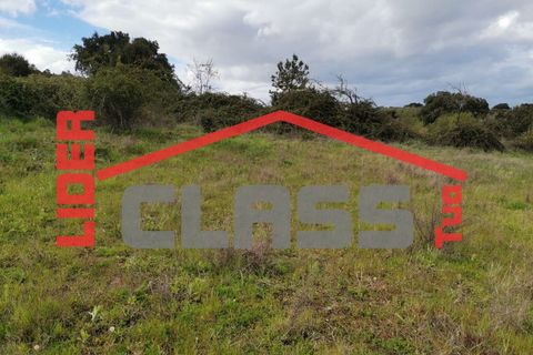 Terra a Vila Flor, Braganca, Vila Flor - € 12.500 | Ref: SÒL_1228 - foto 7