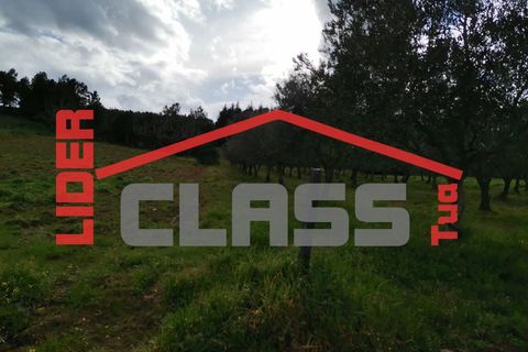 Terra a Vila Flor, Braganca, Vila Flor - € 12.500 | Ref: SÒL_1228 - foto 8