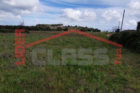 Terra a Vila Flor, Braganca, Vila Flor - € 12.500 | Ref: SÒL_1228 - foto 9