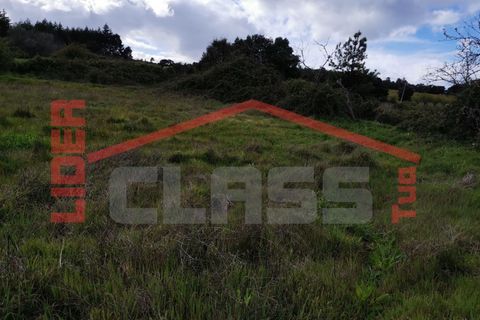 Terra a Vila Flor, Braganca, Vila Flor - € 12.500 | Ref: SÒL_1228 - foto 10