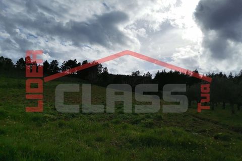 Terra a Vila Flor, Braganca, Vila Flor - € 12.500 | Ref: SÒL_1228 - foto 11